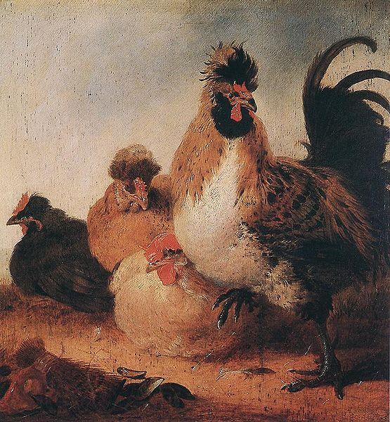 Aelbert Cuyp Rooster and Hens France oil painting art